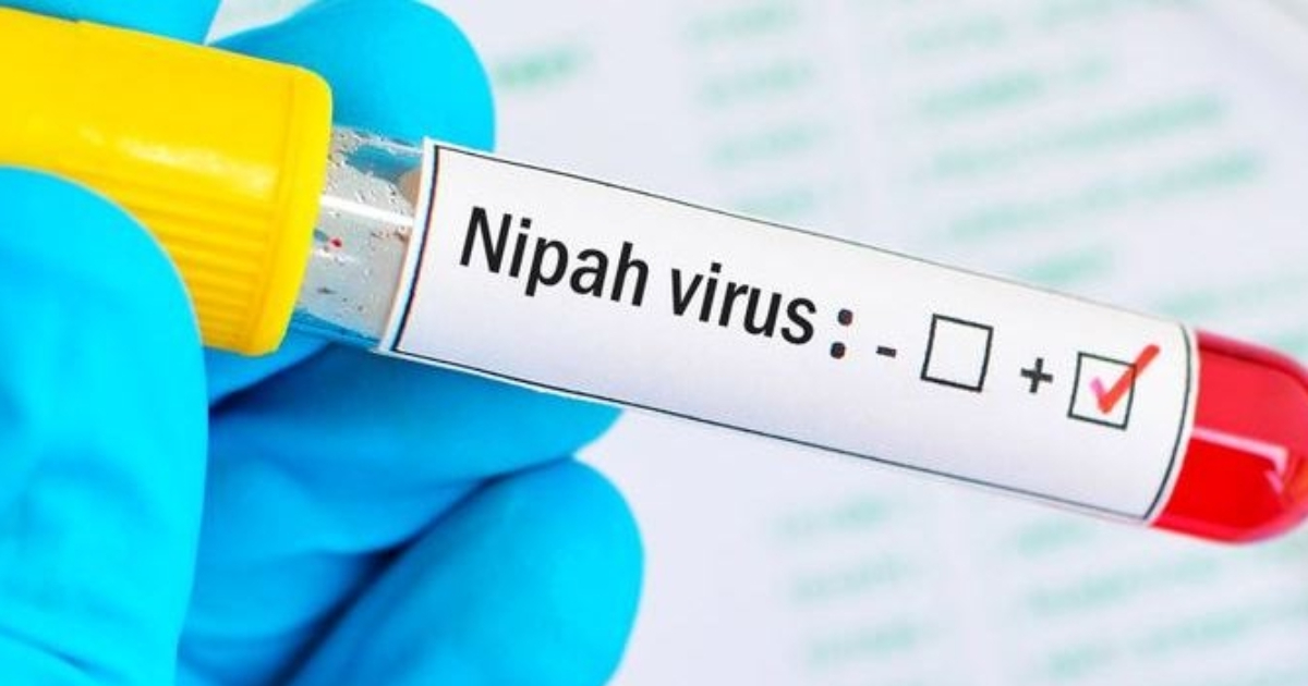 Nipah virus: India to source 20 more doses of monoclonal antibody from Australia for treatment